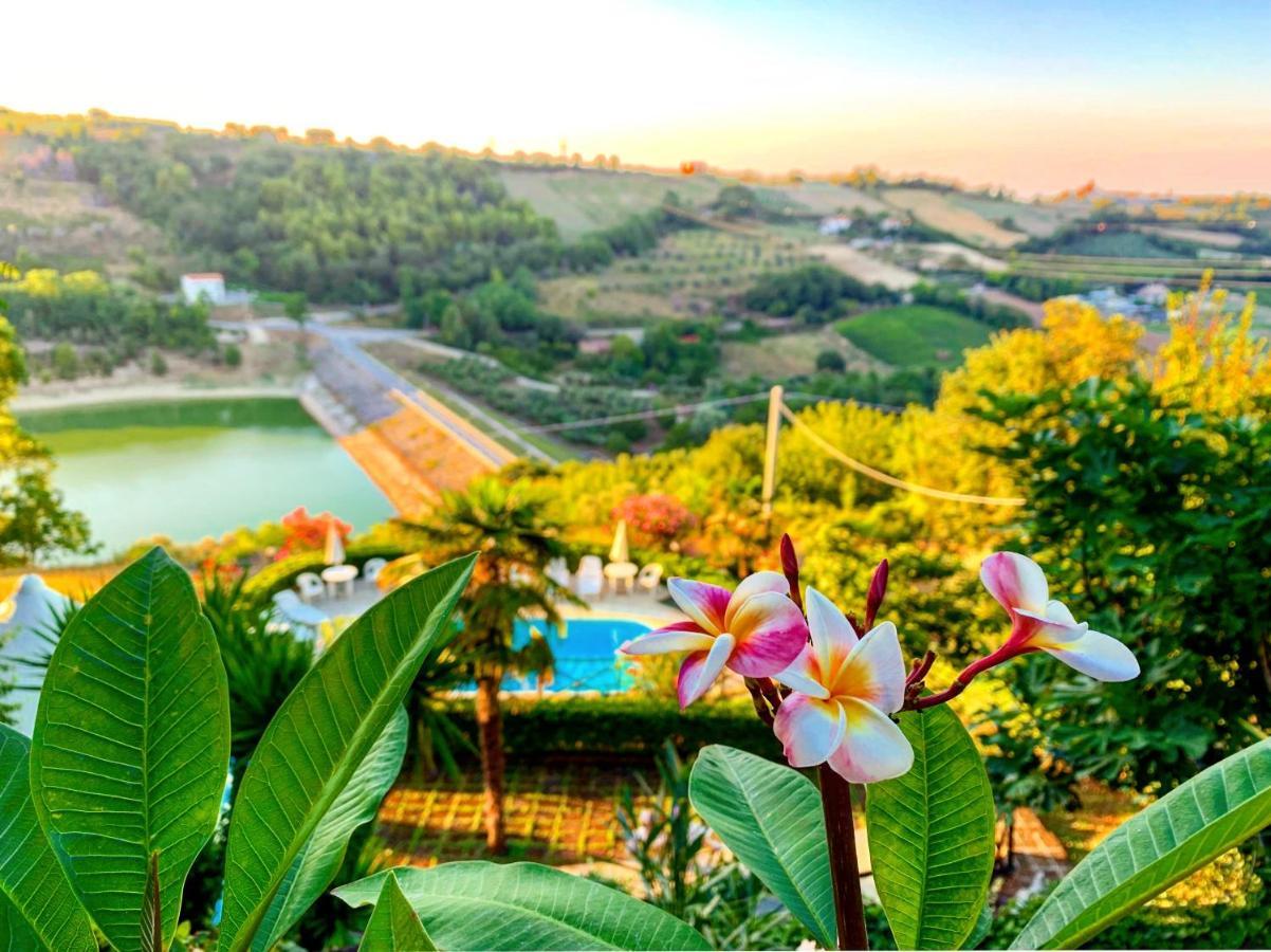 Chiaraluce Country House มาสซิญาโน ภายนอก รูปภาพ